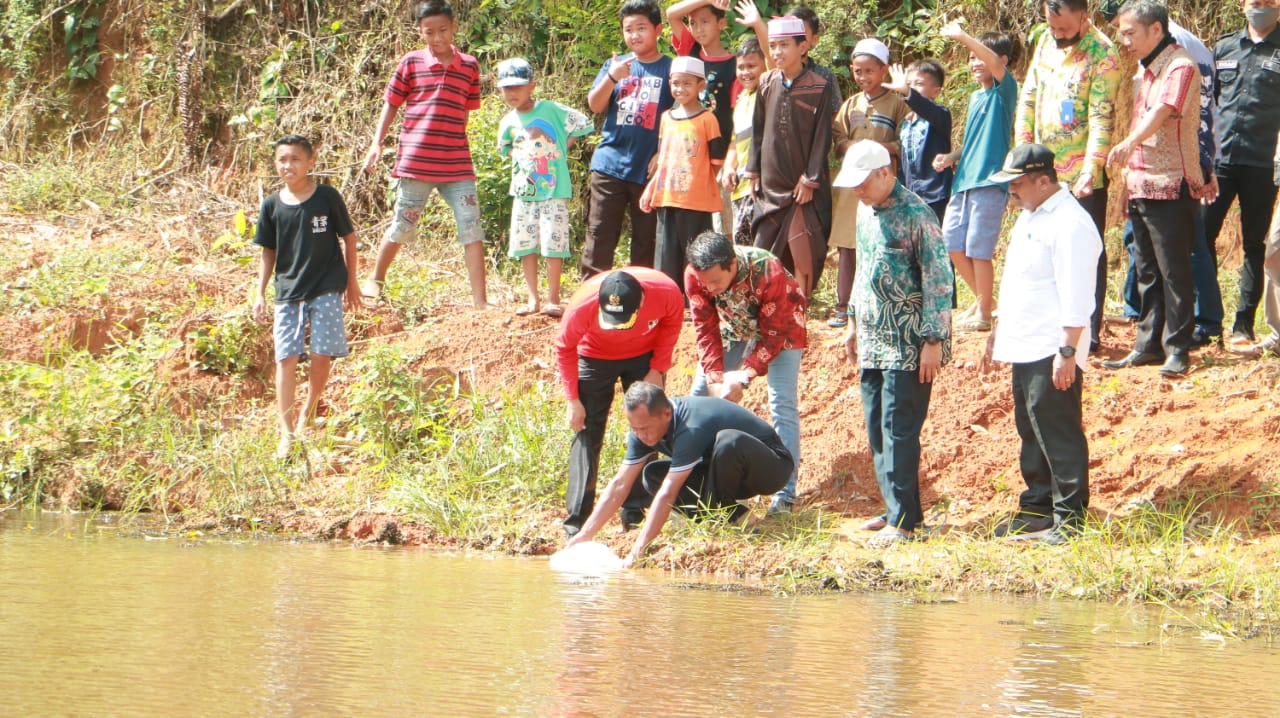 IMG-20220313-WA0013