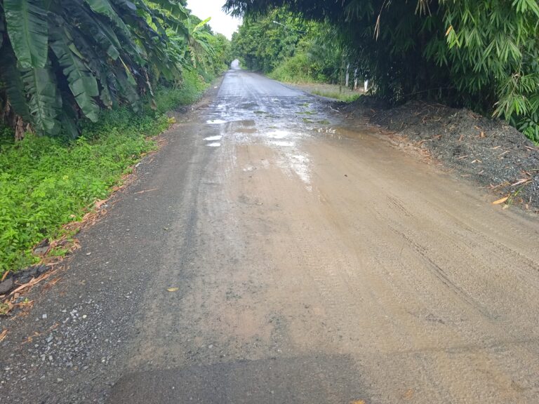 IMG_20221210_084129_1