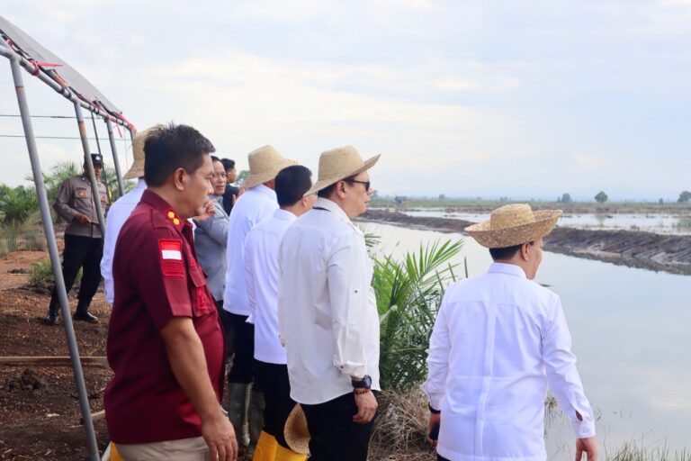 Lahan Brigade Pangan