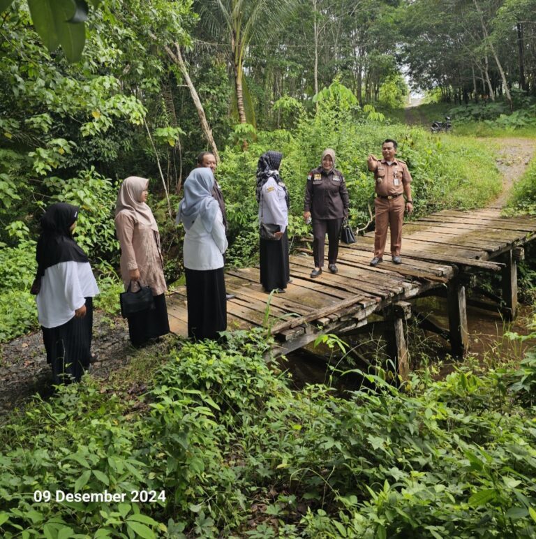 Screenshot_20241209_211937_Gallery