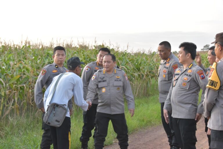 WhatsApp Image 2025-01-14 at 20.39.08