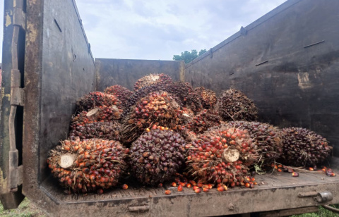 WhatsApp-Image-2026-04-03-at-16.37.48